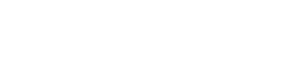 11.16 SUN 11:00-16:000 会場 東京交通会館12階ダイヤモンドホール