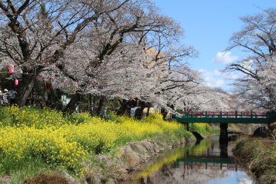 真岡市