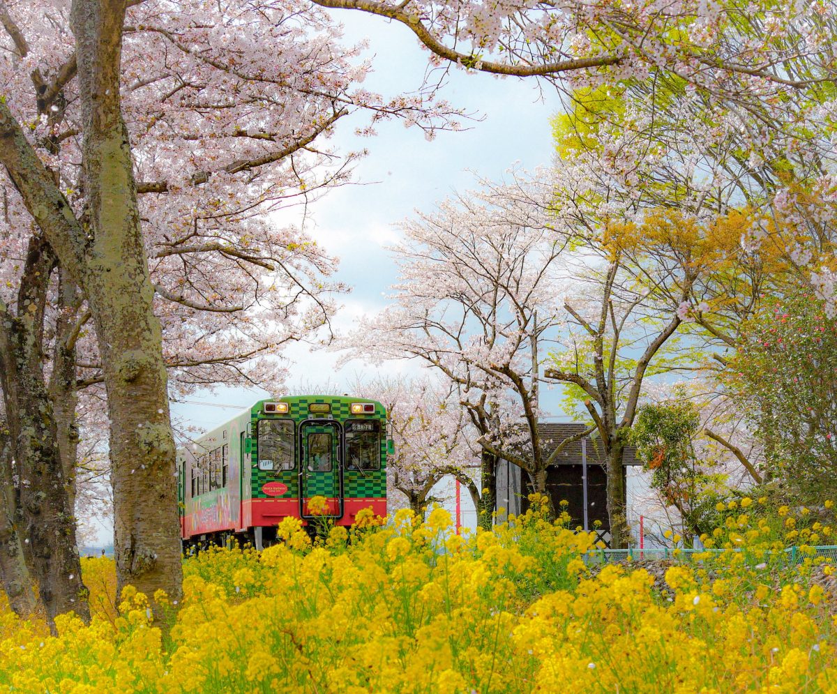 真岡市