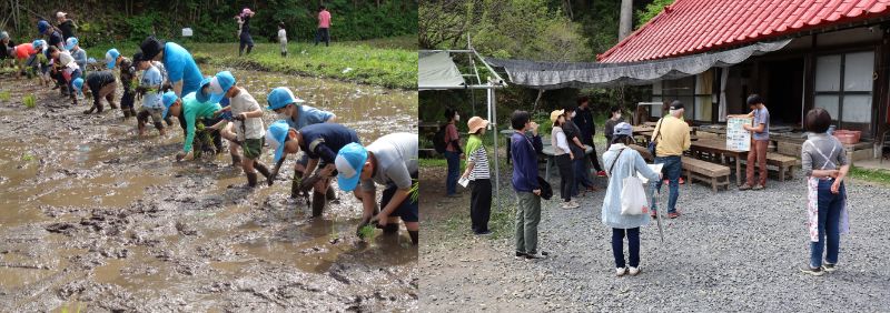 【市貝町】地域おこし協力隊を募集します!