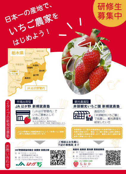 【真岡市🍓】日本一の産地で、いちご農家をはじめよう！新規就農塾の研修生を募集！ | セミナー・フェア