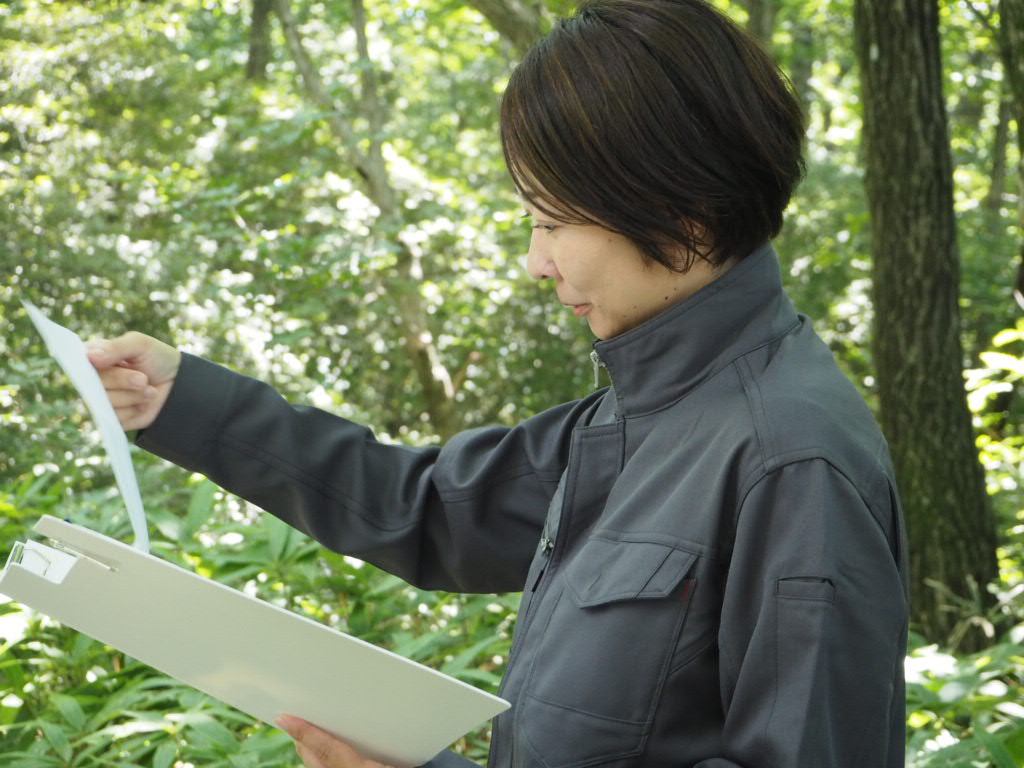 高山 千恵