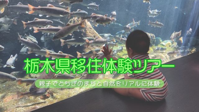 ＼ダイジェスト動画公開／　栃木県移住体験ツアー～親子でとちぎのまちと自然をリアルに体験～ | その他