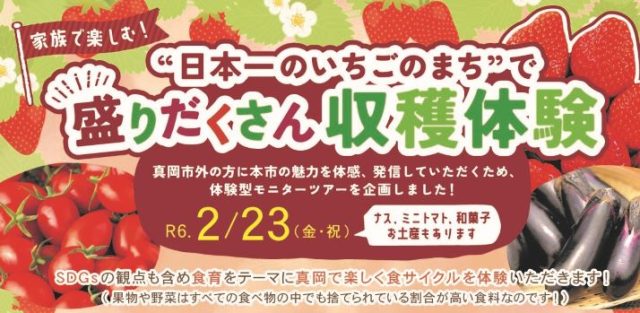 “日本一のいちごのまち”で盛りだくさん収穫体験参加者募集！！ | その他