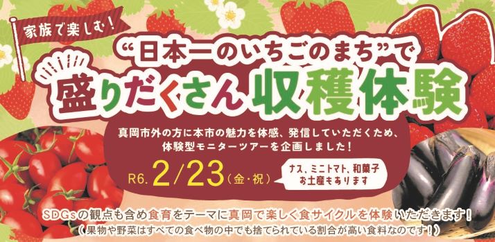 “日本一のいちごのまち”で盛りだくさん収穫体験参加者募集！！ | その他