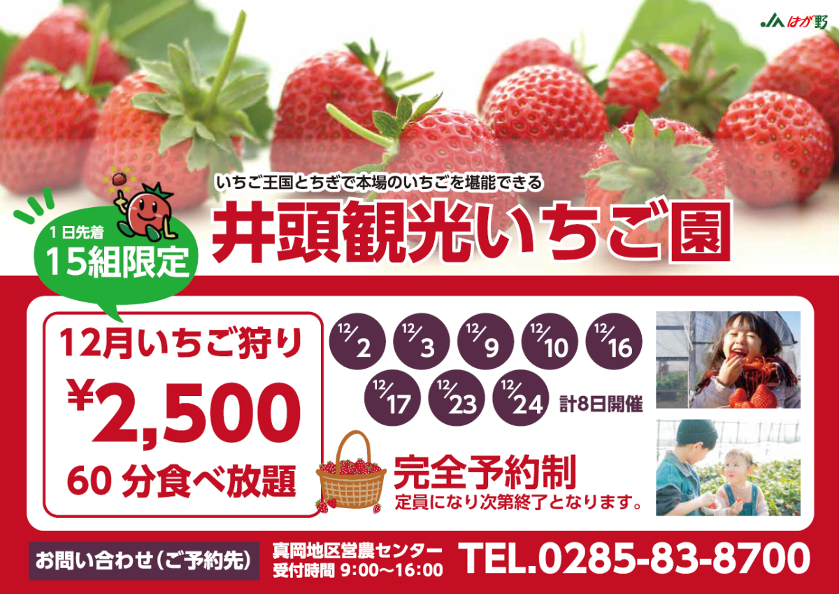 真岡市の井頭観光いちご園でいちご狩り開催中！ | 地域とつながる