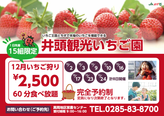 真岡市の井頭観光いちご園でいちご狩り開催中！ | 地域とつながる