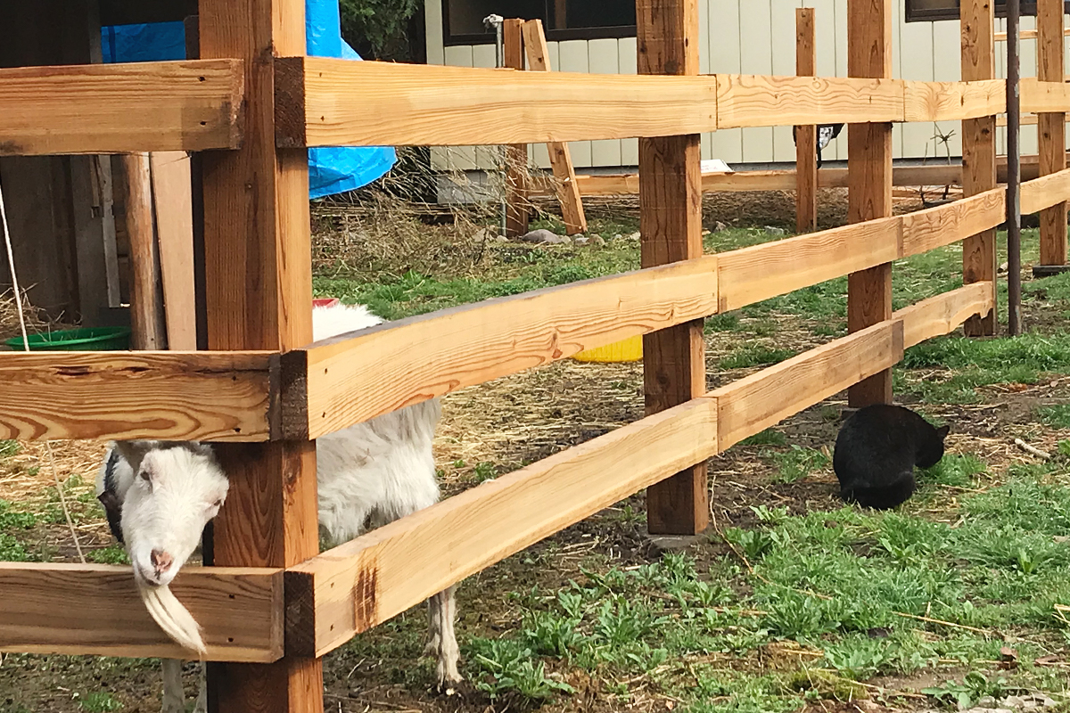 小屋づくり