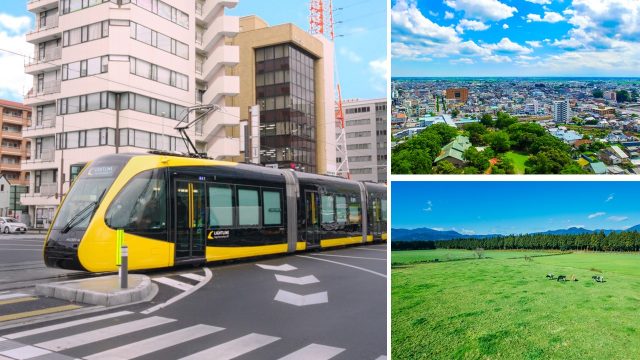 イオンリテール株式会社主催「第10回栃木県フェア」に出展します！ | セミナー・フェア