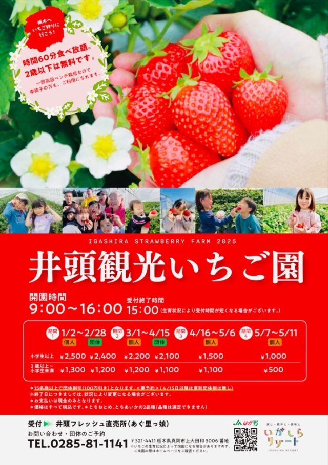 【井頭観光いちご園】いちご狩り開催中！ | 地域とつながる